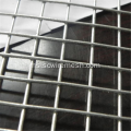 Apakah Mesh Welded Galvanized